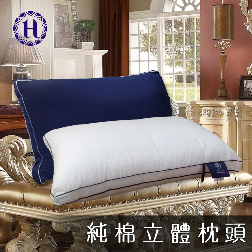 枕頭純棉純色提花公主風兒童雙層紗花邊小枕套全棉紗布幼兒園枕頭套子 歷史價格詳細信息