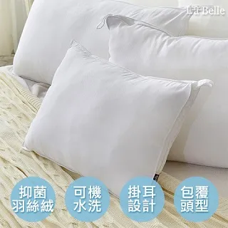 義大利La Belle《立體車邊抑菌可水洗羽絲絨枕》一入 歷史價格詳細信息
