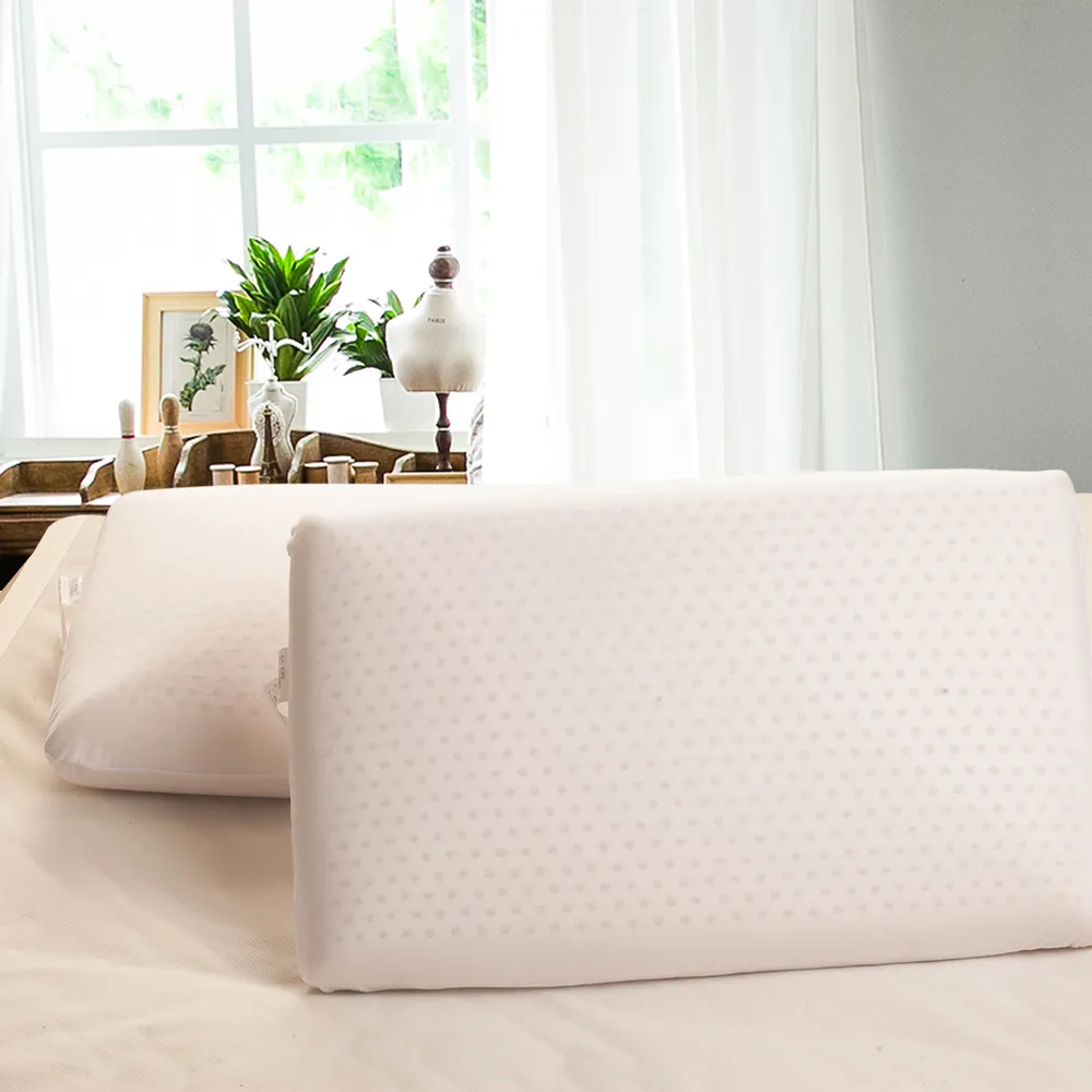 Carolan 麵包型天然乳膠枕-單入 歷史價格詳細信息