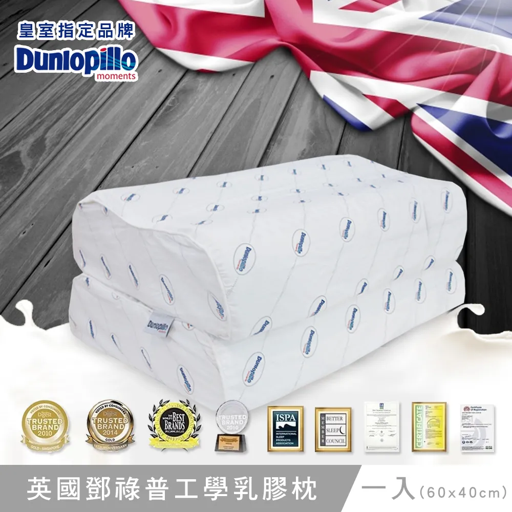 英國百年品牌Dunlopillo 鄧祿普加大型乳膠枕-二入(70x40cm) 歷史價格詳細信息