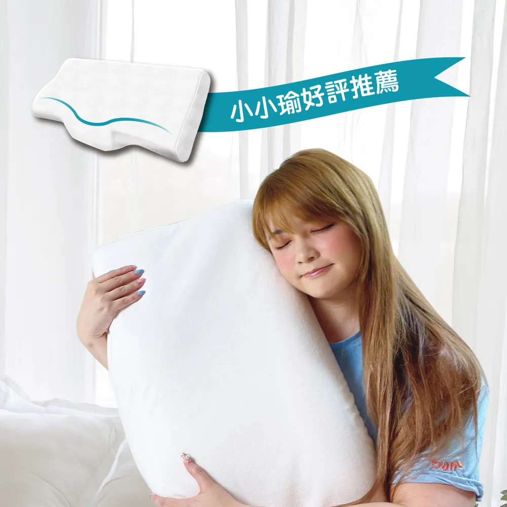 Fotex防蟎肩頸記憶枕-成人 歷史價格詳細信息