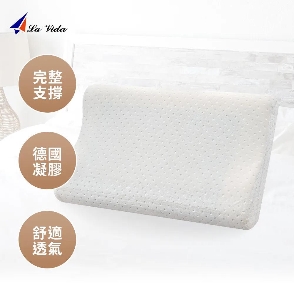 記憶枕慢回彈太空蝶形護頸椎枕單人成人枕頭枕芯帶枕宿舍學生枕 歷史價格詳細信息