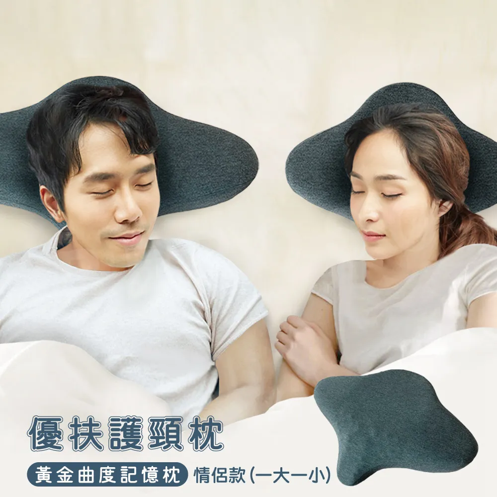 Beroso倍麗森買二送二金絲透氣防側翻護頸防鼾記憶枕+枕套-超值兩入組 歷史價格詳細信息