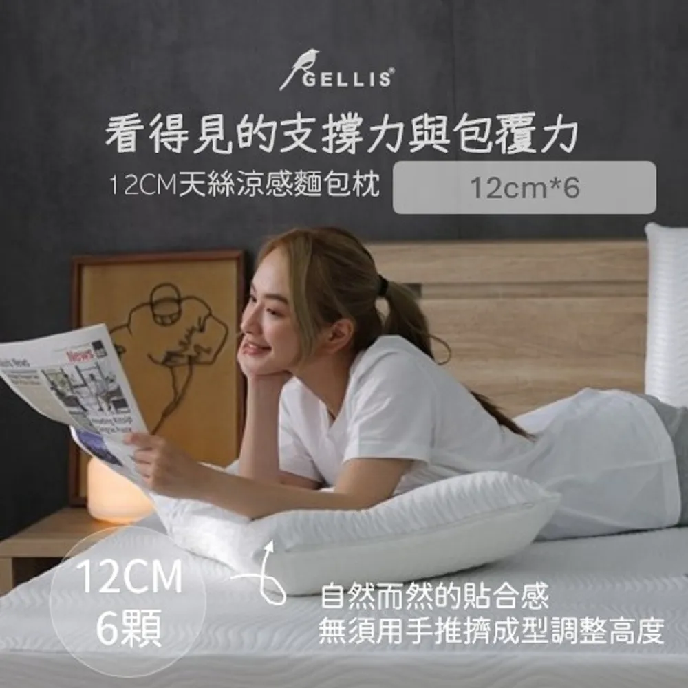 GELLIS鵲利仕防螨抗菌涼感12cm記憶枕GMP-121 歷史價格詳細信息