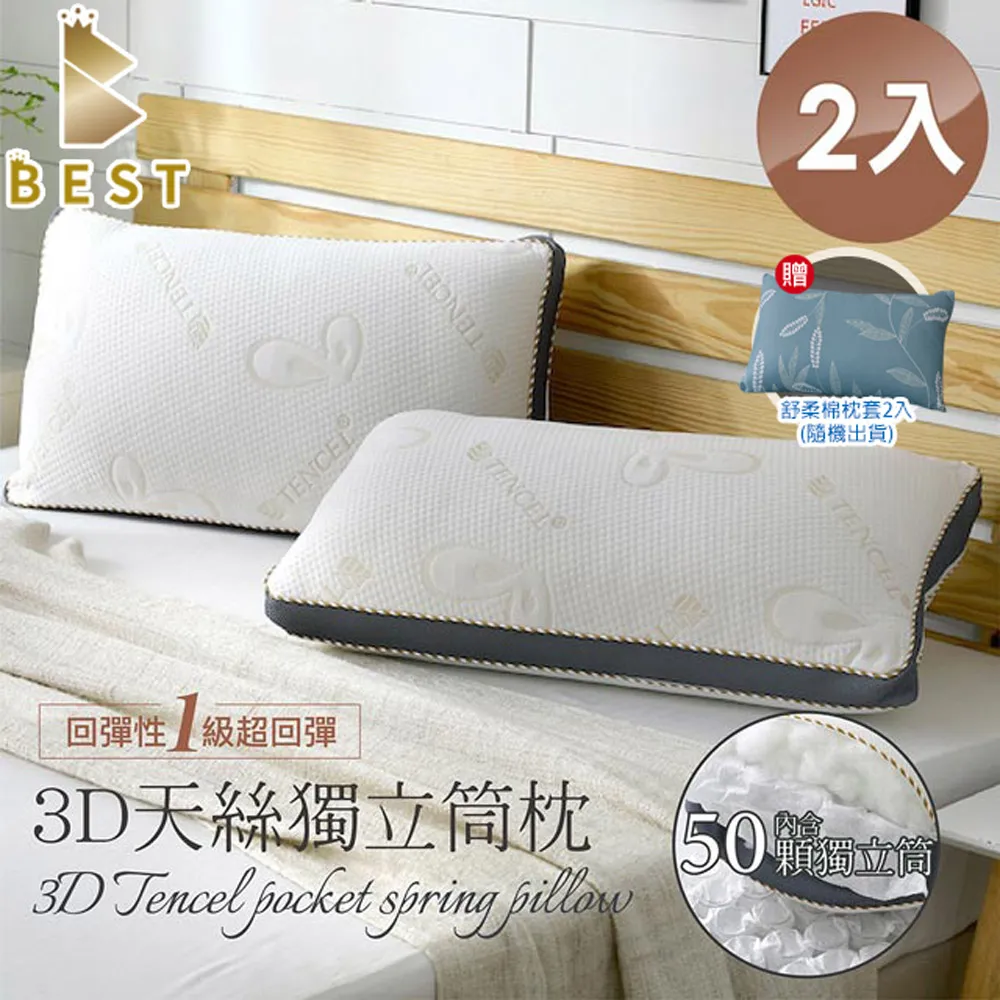 【BEST貝思特】3D天絲獨立筒枕1入(TENCEL 台灣製造 枕頭) 歷史價格詳細信息