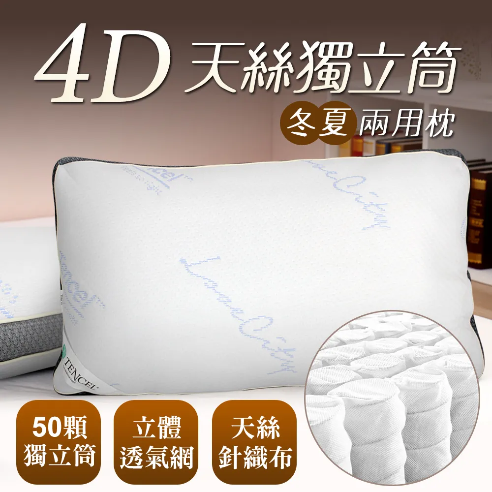 床之戀嚴選 台灣製4D天絲針織獨立筒冬夏兩用枕2入 歷史價格詳細信息