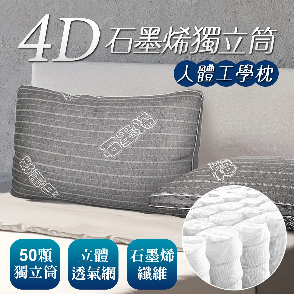 床之戀嚴選 台灣製4D天絲針織獨立筒冬夏兩用枕2入 歷史價格詳細信息