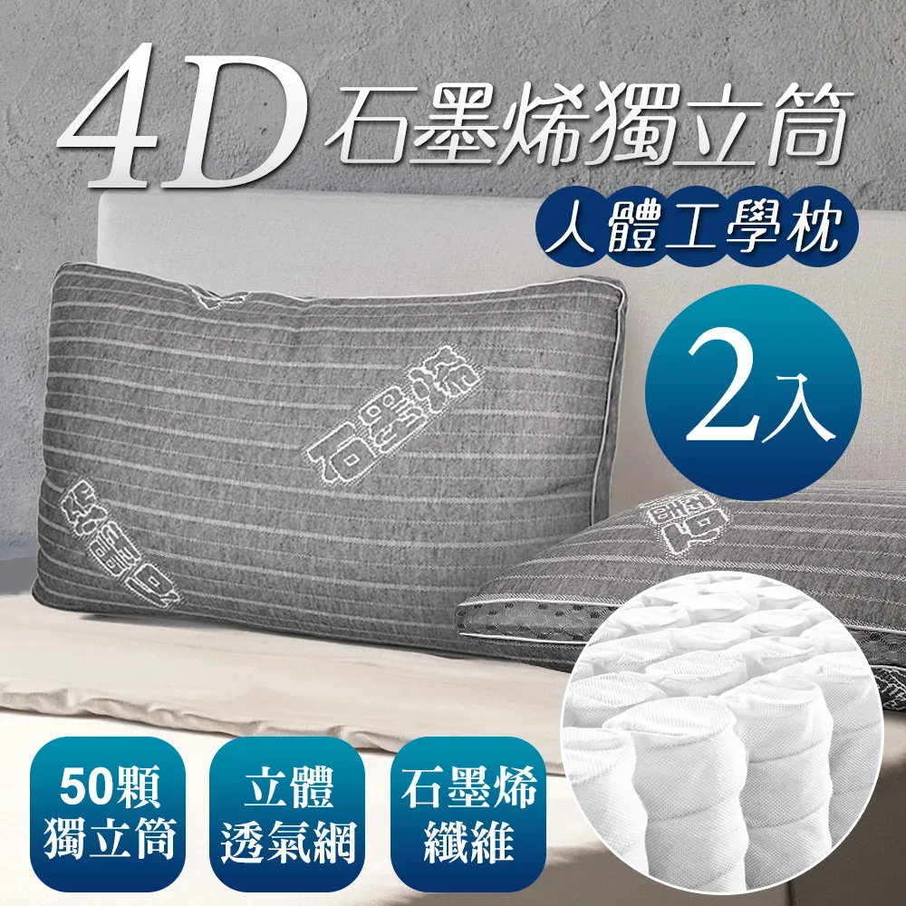 床之戀嚴選 台灣製4D天絲針織獨立筒冬夏兩用枕2入 歷史價格詳細信息