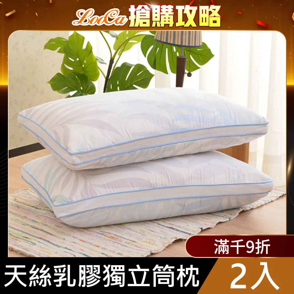 LooCa天絲纖維舒眠超透氣記憶枕2入-特大型 歷史價格詳細信息