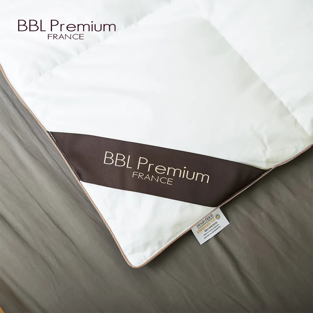 【BBL Premium】【CN9】JIS20/80蓬彈羽絨枕(銀灰)一對 歷史價格詳細信息