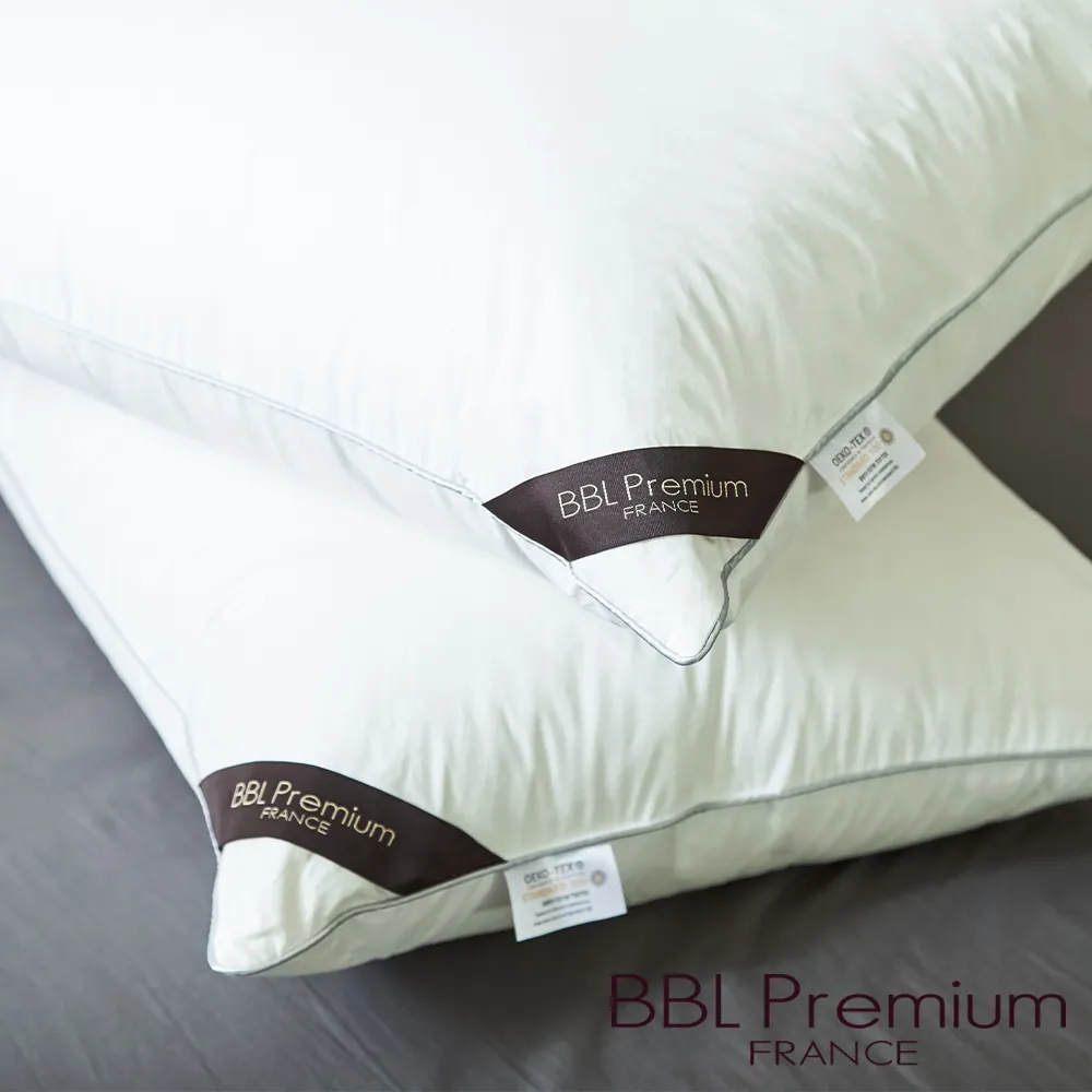 【BBL Premium】【CN9】JIS20/80蓬彈羽絨枕(銀灰)一對 歷史價格詳細信息