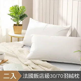 HOYACASA南法香頌 雙人四件式抗菌天絲兩用被床包組 歷史價格詳細信息