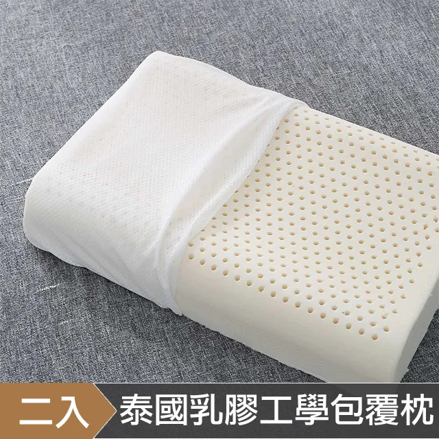HOYACASA 泰國乳膠舒眠護頸蝶型枕-一入 歷史價格詳細信息