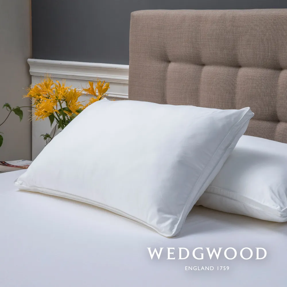 【WEDGWOOD】超細纖維印花 厚毛雙層旅行毯任選(單人90x150) 歷史價格詳細信息