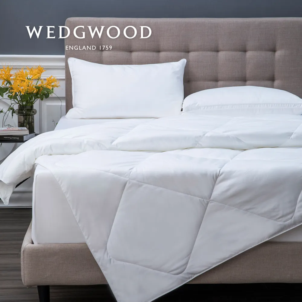 【WEDGWOOD】超細纖維印花 厚毛雙層旅行毯任選(單人90x150) 歷史價格詳細信息