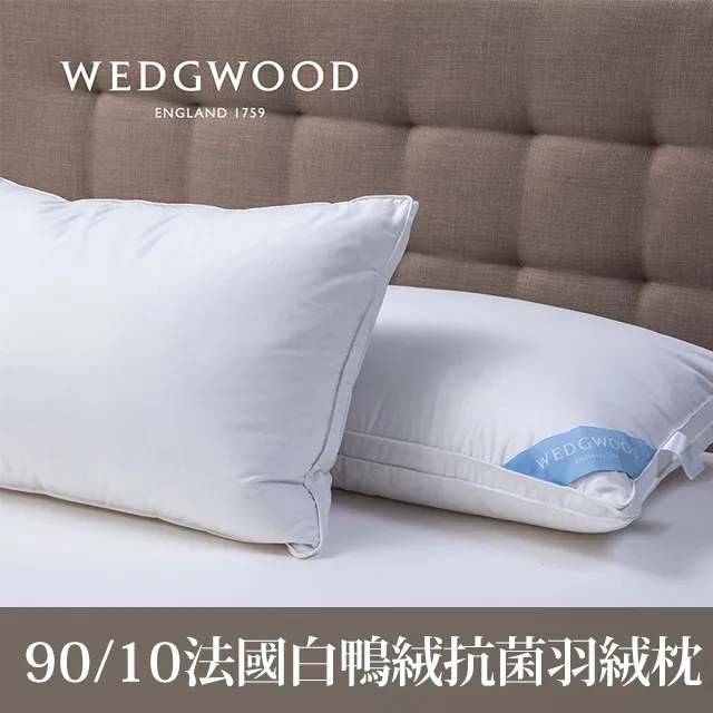 抗菌舒眠慢回彈記憶枕[大買家] 歷史價格詳細信息