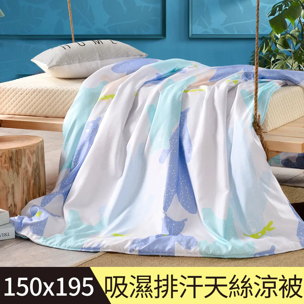 【Betrise熊熊軟糖】頂級300織100%精梳長絨棉鋪棉涼被/四季被 5X6.5尺一入(獨家加大尺寸) 歷史價格詳細信息