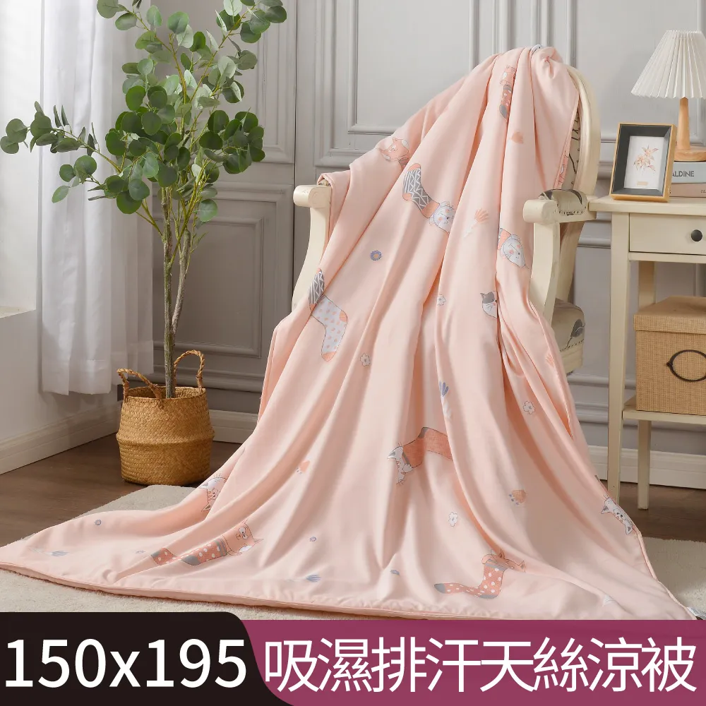 【Betrise叮咚-粉】吸濕排汗天絲鋪棉涼被/四季被 5X6.5尺一入(獨家加大尺寸)- 採用3M專利吸濕排汗藥 歷史價格詳細信息
