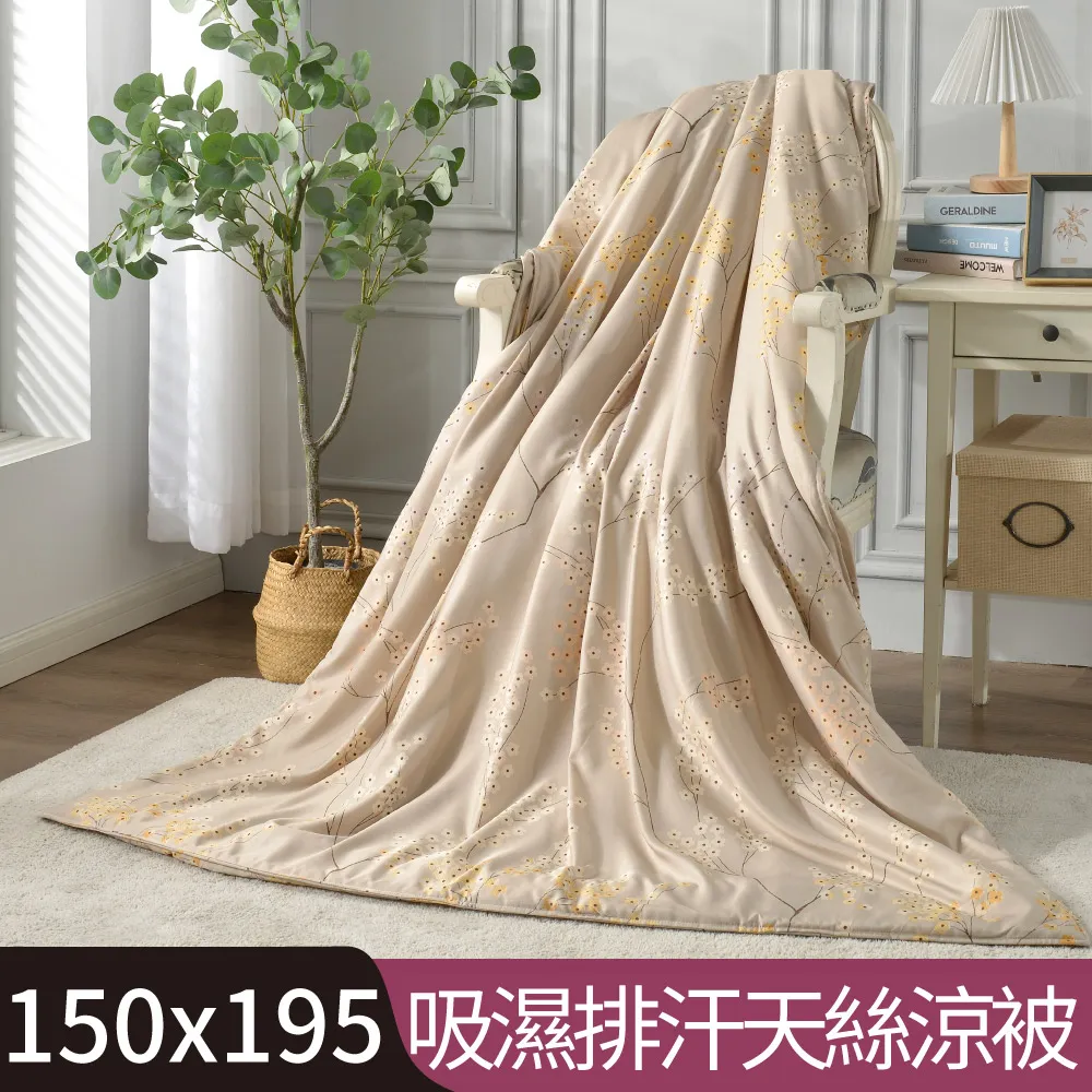 【Betrise簡影】3M吸濕排汗天絲涼被5X6.5尺一入(獨家加大尺寸)-採用3M專利吸濕排汗藥劑 歷史價格詳細信息