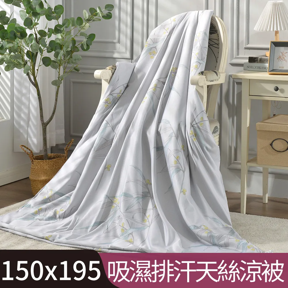 枝芽 涼感天絲涼被/3M吸濕排汗技術/空調被/四季被 歷史價格詳細信息