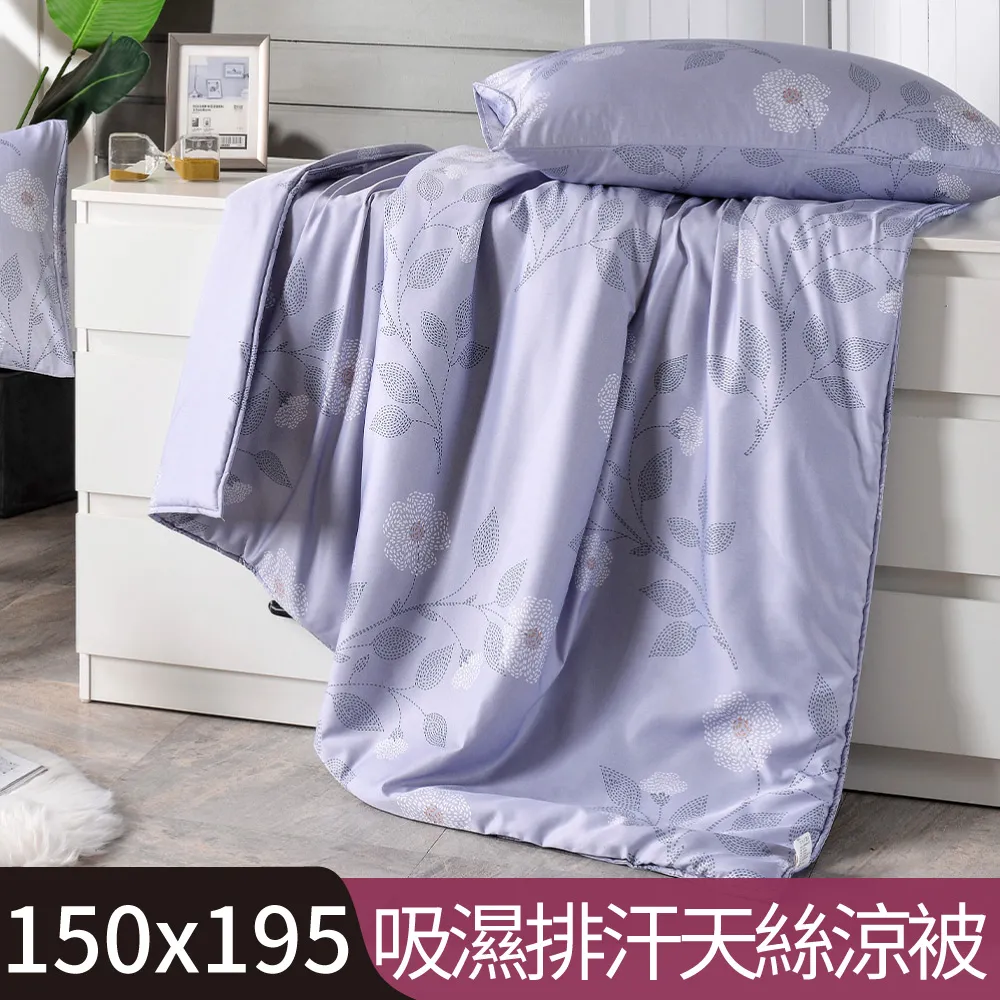 【Betrise石紋】100%精梳棉 銀離子防蹣抗菌/舖棉兩用被/床包組 床高35cm 吊牌品質認證 可超取 歷史價格詳細信息