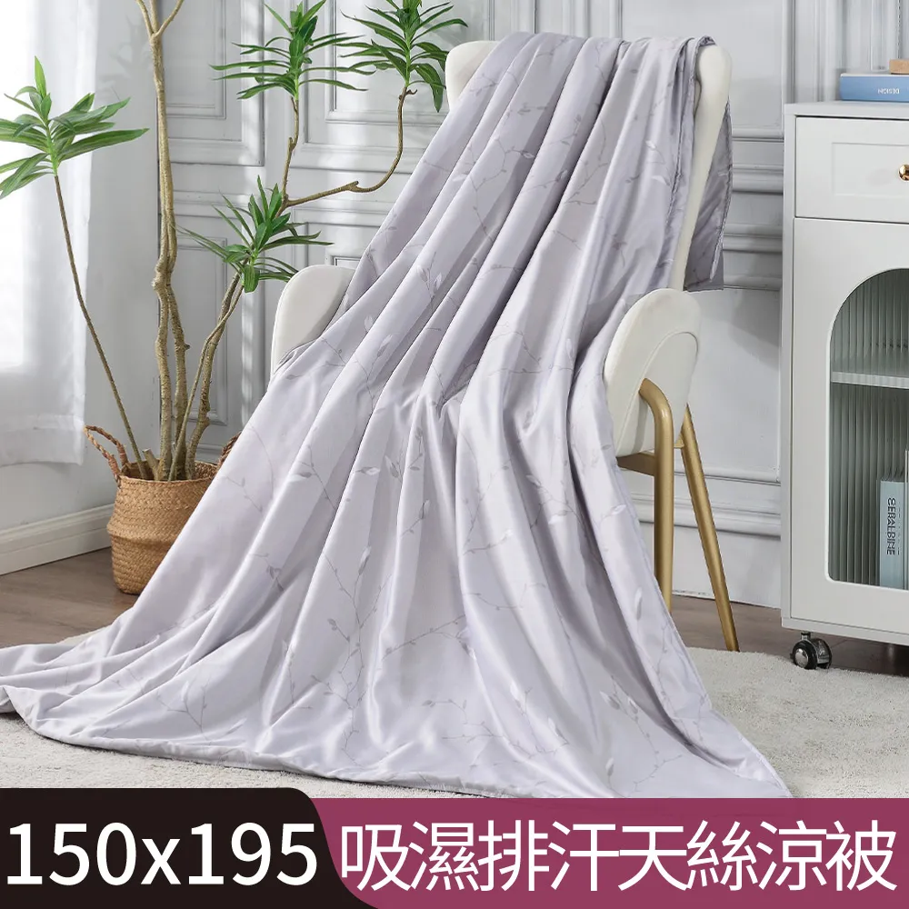 【Betrise灰色情懷】雙人-植萃系列100%奧地利天絲四件式兩用被床包組 歷史價格詳細信息