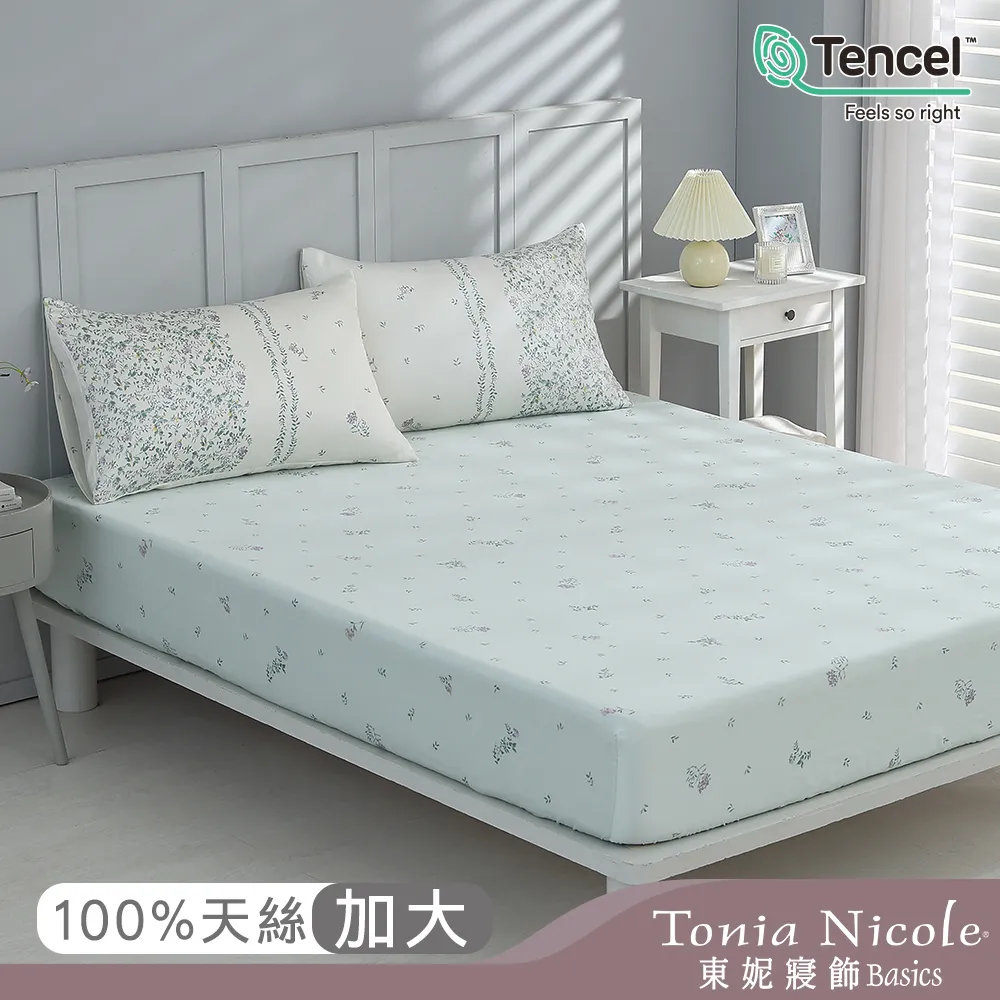 【Tonia Nicole 東妮寢飾】青雅集B版環保印染100%萊賽爾天絲床包枕套組(雙人) 歷史價格詳細信息