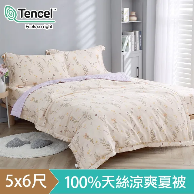 《HOYACASA卡娜赫拉》日式瞬間涼感紗夏被 歷史價格詳細信息