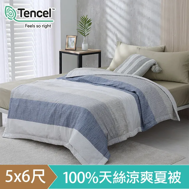 《HOYACASA漫步雲端》獨立筒枕頭(3M布彈力舒柔枕) 一入 歷史價格詳細信息