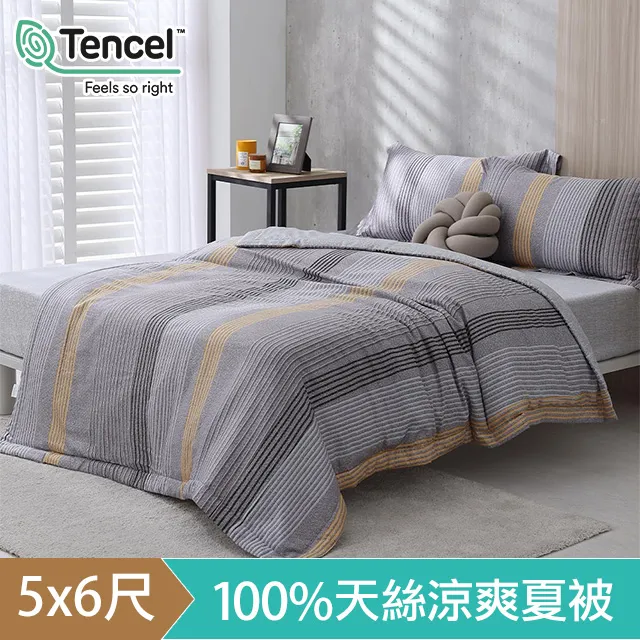 《HOYACASA》極簡北歐羊羔絨暖絨毯 (150X200cm)-多款任選 歷史價格詳細信息