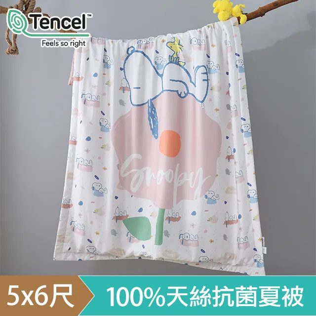 【HOYACASAx史努比聯名系列】- 太空漫步 100%萊賽爾兩用被套床包四件組(單人/雙人/加大/特大) 歷史價格詳細信息