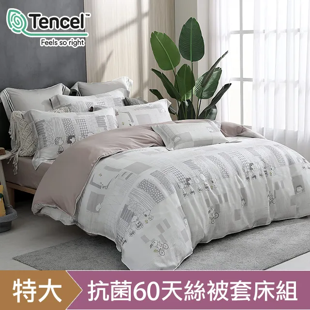 【HOYACASAx史努比聯名系列】- 太空漫步 100%萊賽爾兩用被套床包四件組(單人/雙人/加大/特大) 歷史價格詳細信息