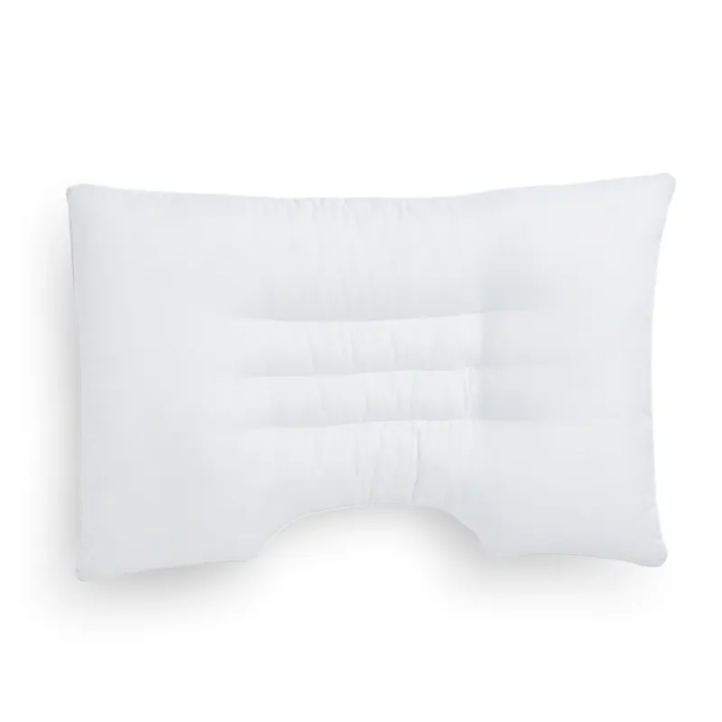 【DPillow】抗菌防蹣兒童枕頭+枕套組合(奈米氧化鋅纖維) 歷史價格詳細信息