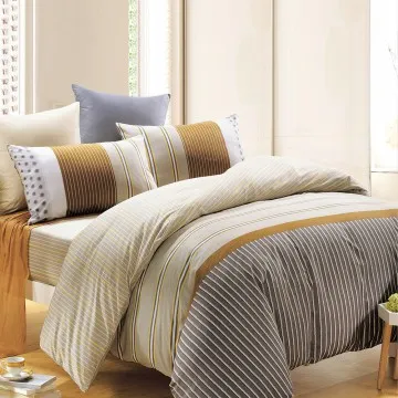 鴻宇HongYew 100%精梳棉 防蹣抗菌 恐龍公園 雙人薄被套 歷史價格詳細信息