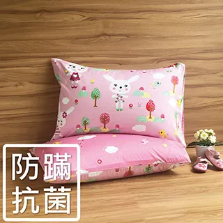 鴻宇 枕套 防蹣抗菌枕套2入(50x75cm) 交通樂園 美國棉授權品牌 台灣製1778 歷史價格詳細信息