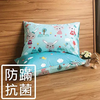 鴻宇 枕套 防蹣抗菌枕套2入(50x75cm) 交通樂園 美國棉授權品牌 台灣製1778 歷史價格詳細信息