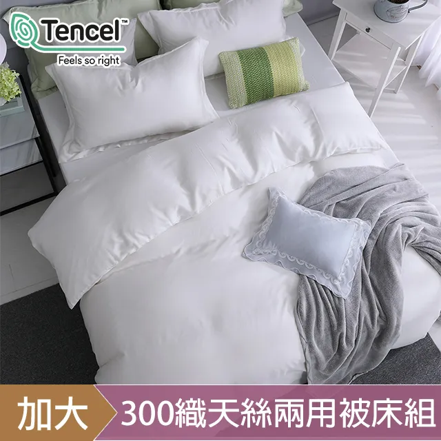 HOYACASA碧砂白 加大60支天絲床包枕套三件組 歷史價格詳細信息