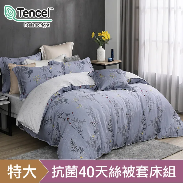 HOYACASA沐意 60支萊賽爾天絲涼被枕套三件組(5x6尺) 歷史價格詳細信息