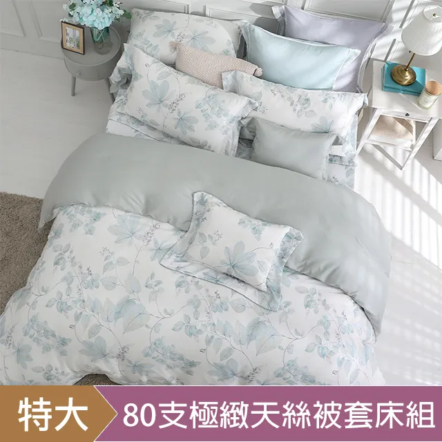 HOYA H Series薇雅洛 六星級淨潤透澤超級天絲護膚寢具六件組-雙人 歷史價格詳細信息