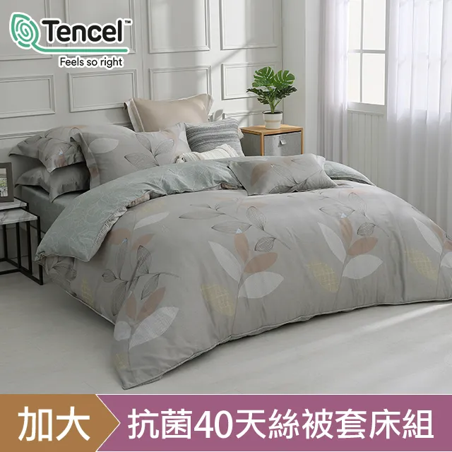 HOYACASA 暮秋 加大四件式60支天絲兩用被套床包組 歷史價格詳細信息