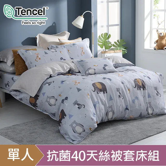 HOYACASA雅樂 加大六件式抗菌60支天絲兩用被床包組 歷史價格詳細信息