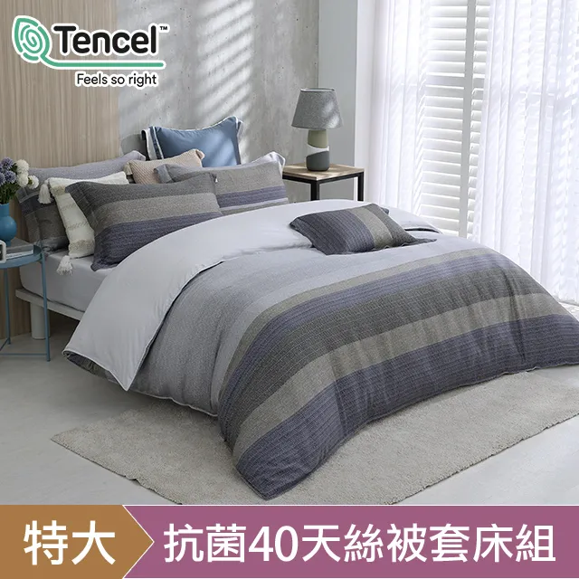 《HOYACASA迪亞》天絲涼爽輕柔夏被 (5x6尺) 歷史價格詳細信息