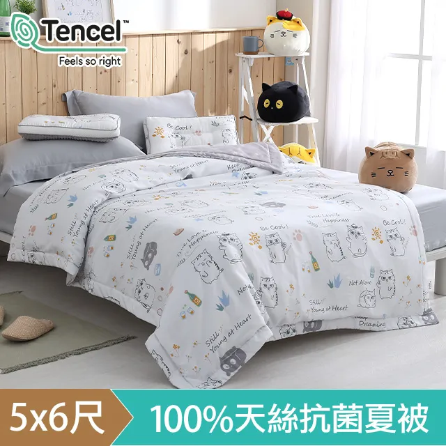 HOYACASAx黃阿瑪聯名系列-單人三件式天絲床包枕套組-Socles恐龍 歷史價格詳細信息