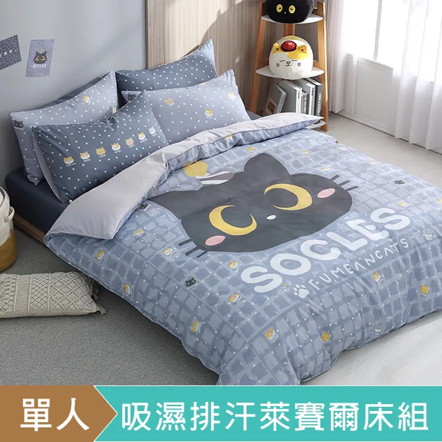 HOYACASAx史努比聯名系列-單人 吸濕排汗天絲兩用被床包組-漫遊家 歷史價格詳細信息