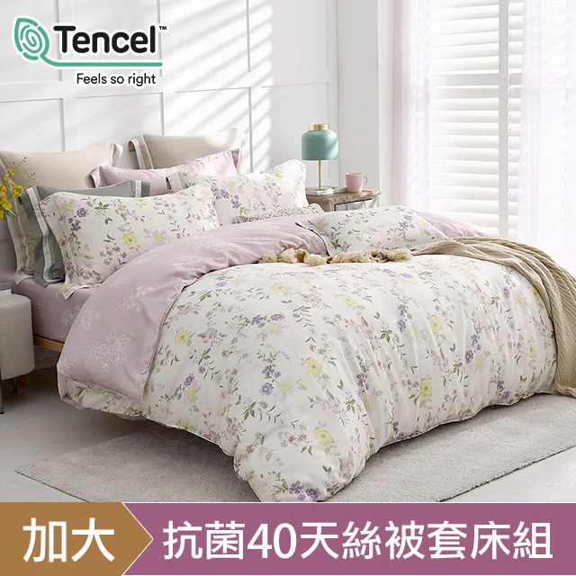 《HOYACASA朵拉花園》四件式抗菌天絲兩用被床包組(雙人/加大/特大) 歷史價格詳細信息