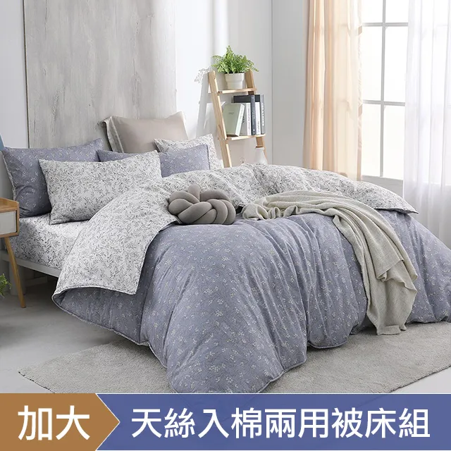 《HOYACASA》奧古斯丁-純棉兩用被床包組-天絲入棉30%(單人/雙人/加大) 歷史價格詳細信息