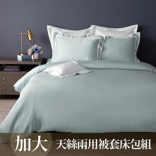 【WEDGWOOD】天絲抗菌舒眠枕48x74cm(二入) 歷史價格詳細信息