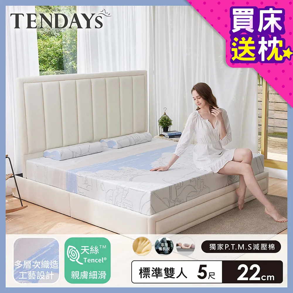 TENDAYS 希臘風情紓壓厚床5尺標準雙人(20cm厚 記憶床墊) 歷史價格詳細信息