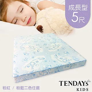 【TENDAYs】成長型嬰兒健康枕(粉藍 0~4歲) 歷史價格詳細信息