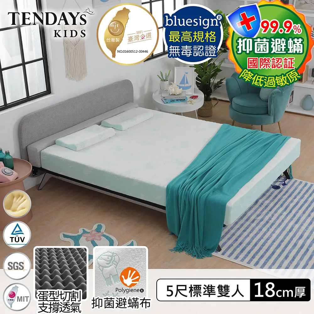 【TENDAYS】珊瑚海兒童護脊枕(5-8歲) 歷史價格詳細信息